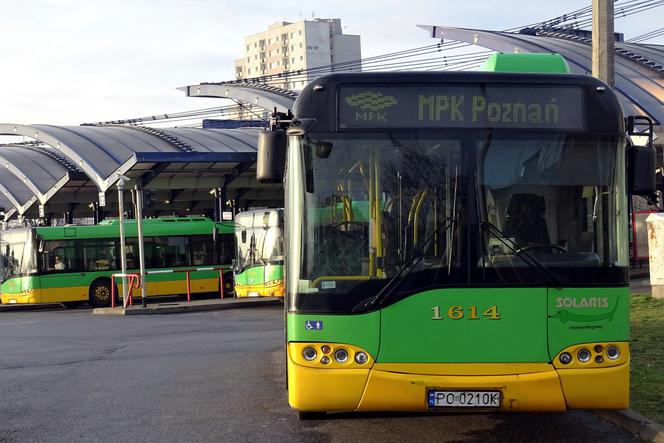Poznań: Linia 201 zawieszona! Zamiast tramwajem pojedziemy autobusem!