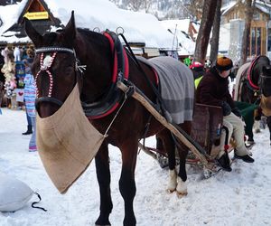  Zakopane zimą