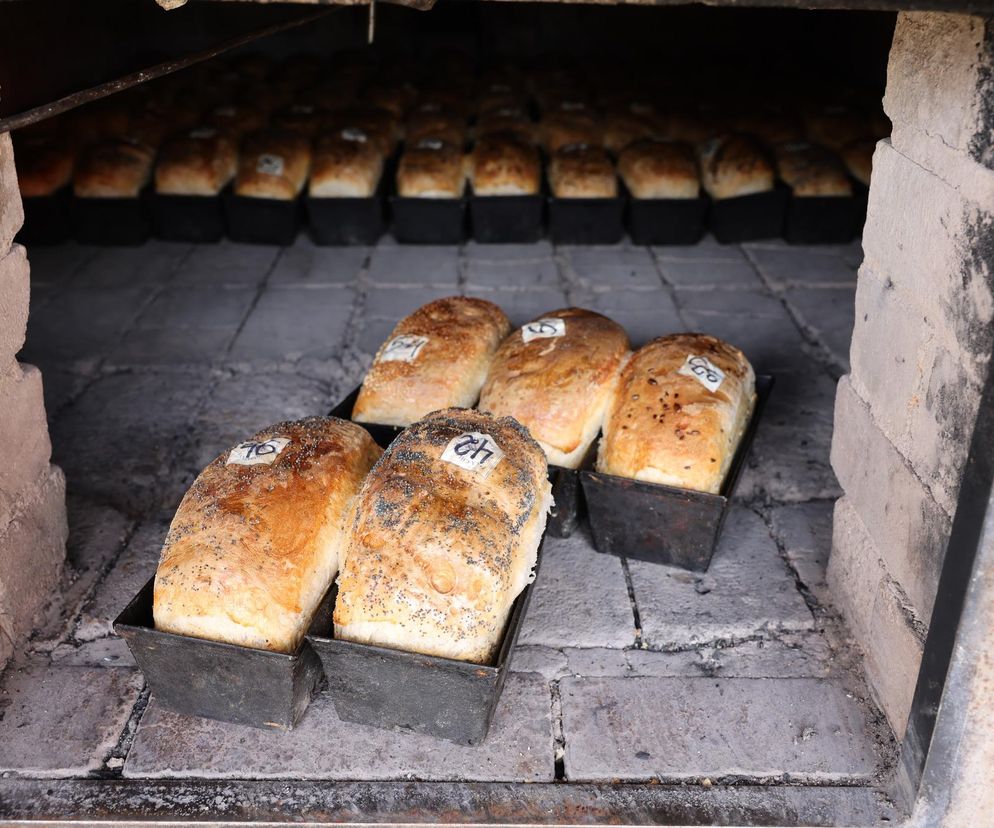 Wyjątkowy Festiwal Chleba w Kujawsko-Pomorskiem. W Janiej Górze wam się upiecze!