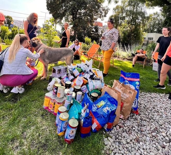 Fit Poranek w Grudziądzu