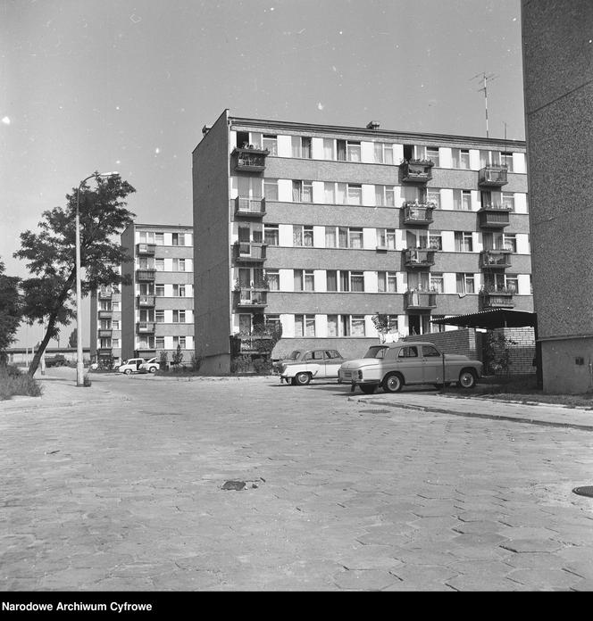 Nowe osiedle mieszkaniowe "Piasta". 1973 rok