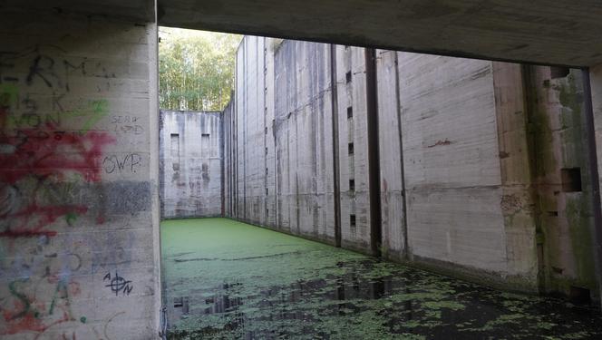 Monumentalna śluza Leśniewo z symbolami III Rzeszy ukryta w mazurskim lesie. Jest owiana tajemnicą [ZDJĘCIA]