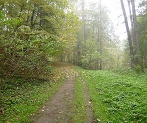 Lubelskie - transgraniczna współpraca i polsko-ukraińska rewitalizacja parków [AUDIO]