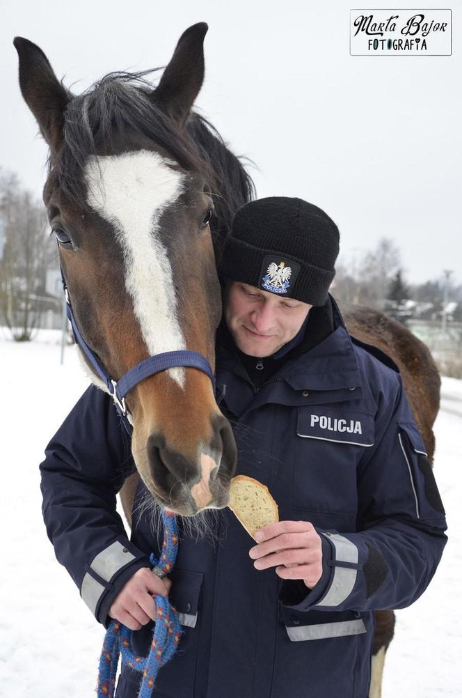 Policjanci walczą o emeryturę dla... konia. Blue Baker przez 12 lat służył w konnym oddziale policji 