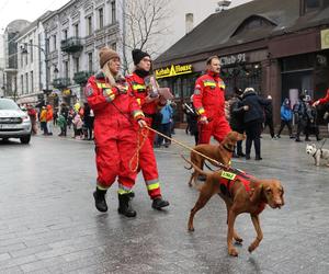 WOŚP 2024. Wielka szarża na Piotrkowskiej