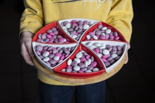 Cyrk Motyli w Piastowie 