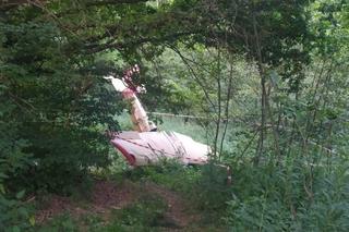 Samolot gruchnął o ziemię, zginął 66-letni pilot. Poznaliśmy przyczyny wypadku!