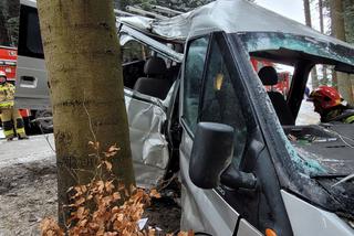 Potworny wypadek pod Krynicą-Zdrój! Nie żyje 32-latek ze Słowacji. Bus z 4 osobami rozbił się o drzewo [ZDJĘCIA]