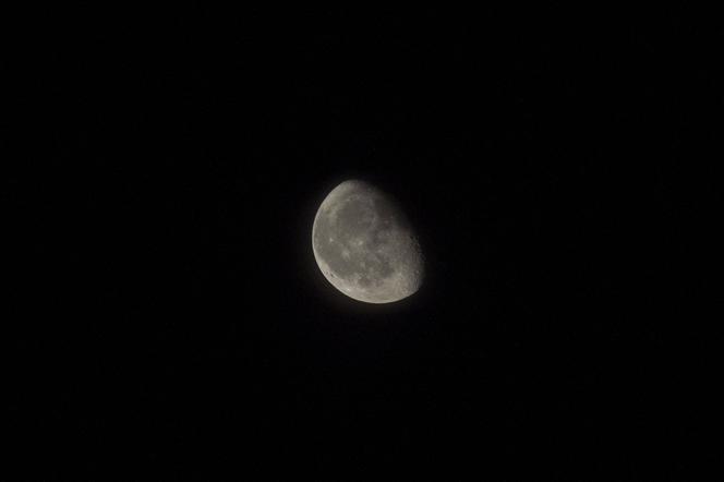Piękny księżyc nad Toruniem [ZDJĘCIE DNIA]