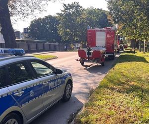 Sokołów Podlaski: 20-letni kierowca spowodował kolizję i wjechał do stawu
