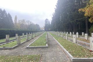 Cmentarz Centralny Wszystkich Świętych 2022