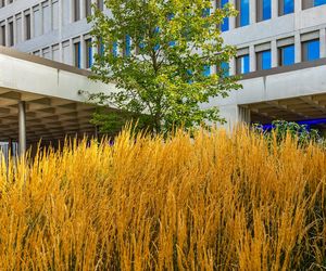 Nowy budynek Wydziału Psychologii Uniwersytetu Warszawskiego