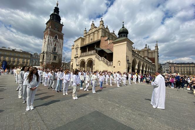 12. Róża dla Jezusa Miłosiernego 