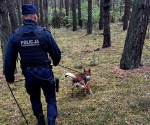 Policyjna akcja zakończyła się sukcesem