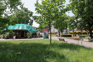 Kultowa pizzeria znika z pl. Narutowicza. Słynny grzyb poszedł do rozbiórki