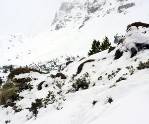 Grenlandia nie chce być częścią USA. Sondaż obala narrację Trumpa