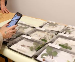 I Międzynarodowy Dzień Wymiany Owadów i Targi Entomologiczne w Bytomiu