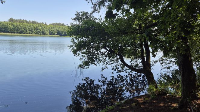 To jedno z największych jezior w Olsztynie. Kusi turystów piaszczystymi plażami