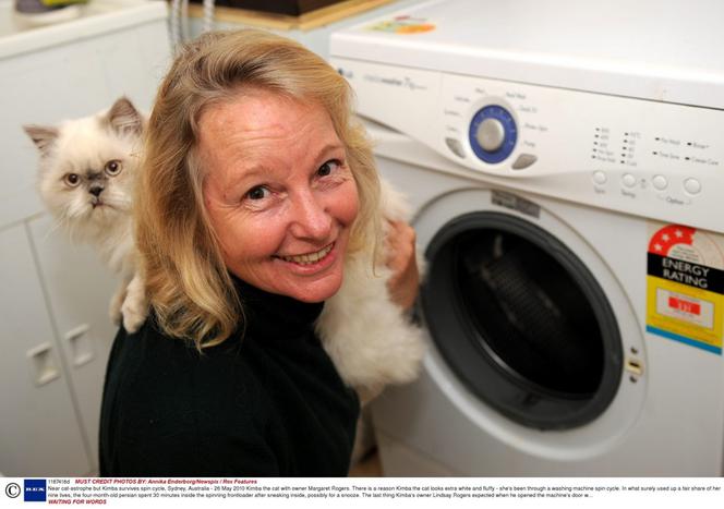 Kot wyprany w pralce