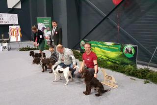 Tysiące psów i odwiedzających. II Międzynarodowa wystawa Psów Rasowych odbyła się w Bydgoszczy