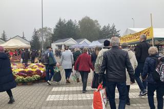 Wszystkich Świętych 2022 Poznań 