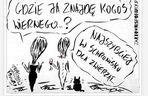 Na odpowiedź Smaszcz nie trzeba było czekać. Tak reaguje na wywiad Kurzajewskiego!