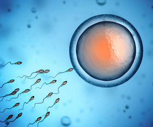 Spermatogeneza i oogeneza. Na czym polega gametogeneza?