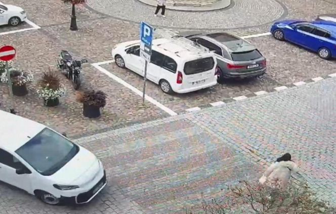 Namysłów. Ciężarna kobieta potrącona na przejściu dla pieszych. Wypadek zarejestrowała kamera [ZDJĘCIA]