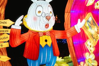 Śląsk zamienia się w Krainę Czarów. Ta magiczna wystawa świateł to absolutny hit jesieni i zimy