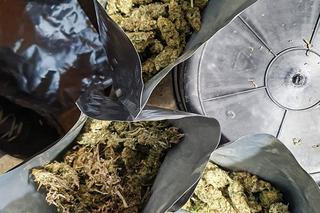 Patryk M.  zmienił się nie do poznania, ale i tak wpadł [GALERIA]