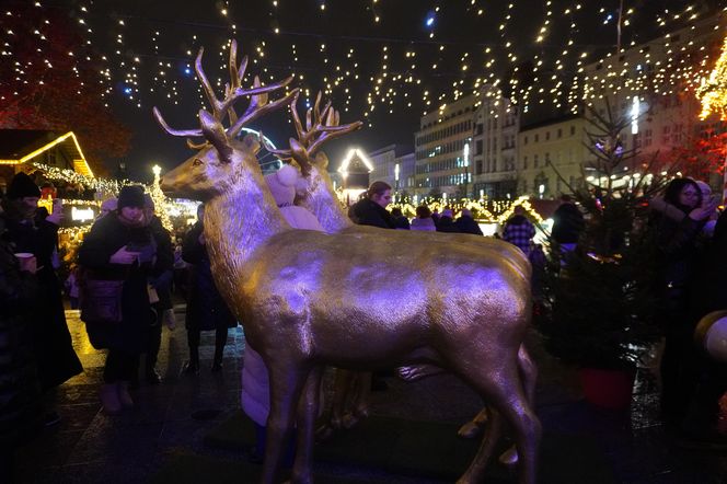 Wizyta świętego Mikołaja na Placu Wolności w Poznaniu