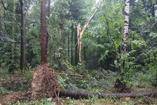 Nawałnice w Małopolsce. Setki interwencji straży pożarnej