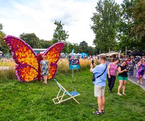 Wielki piknik kwietny – finał 40. edycji konkursu „Warszawa w kwiatach”