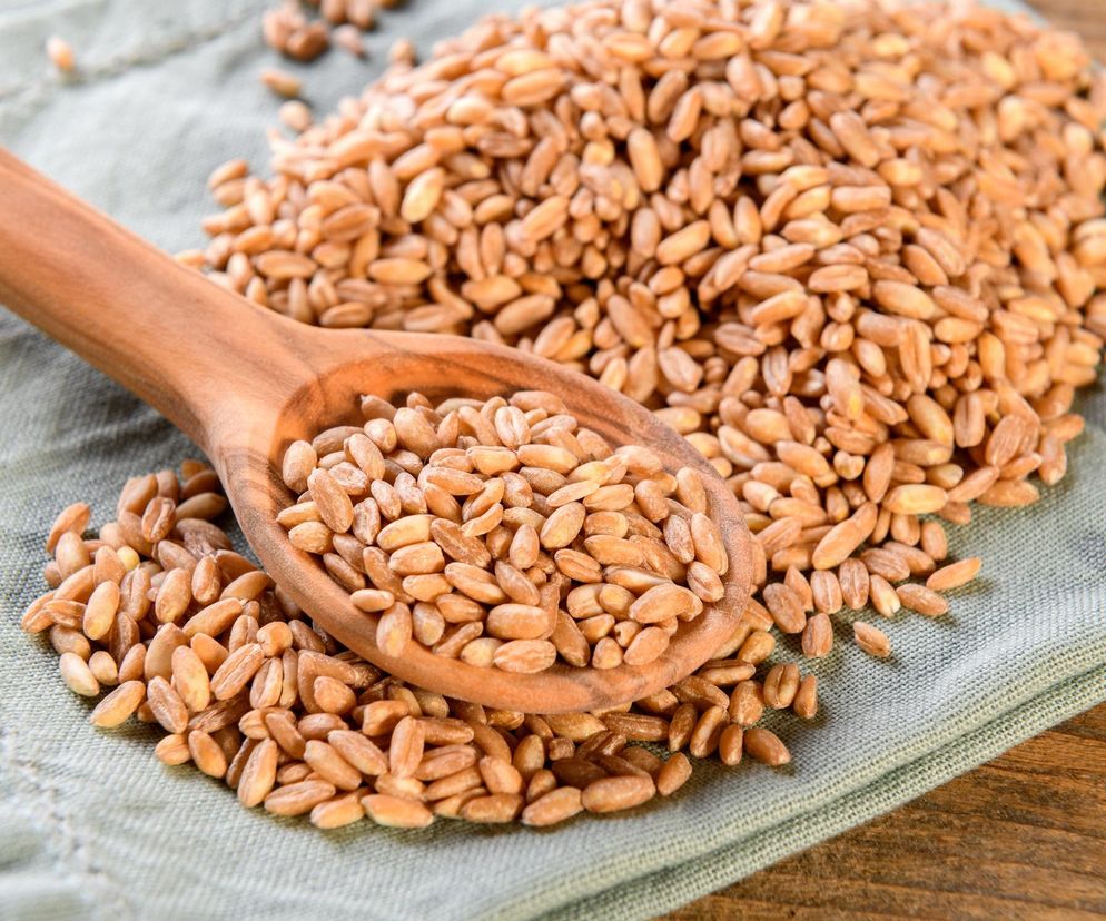 Do diety włącz to starożytne ziarno. Dobre dla cukrzyków i bogate w białko