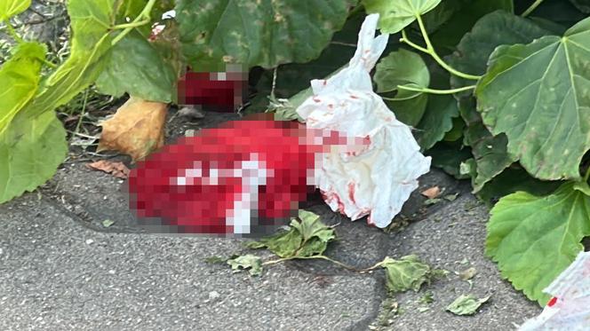 Atak nożownika na Pradze! Dwie osoby ranne, trwa obława