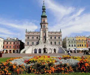 Dlaczego Amerykanie chętnie jeżdżą do Polski? 