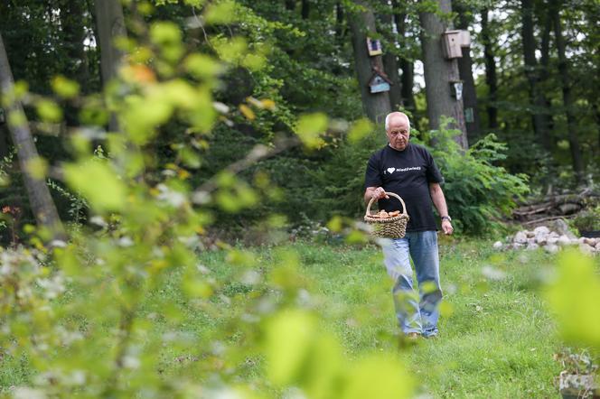 Stefan się wyciszył