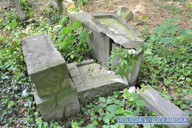 Na wrocławskim cmentarzu zdewastowano kilkadziesiąt nagrobków 