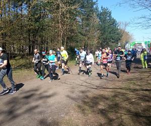 II edycja Bronek Run Forest Edition w Grudziądzu