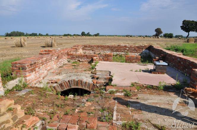 Prace archeologiczne w Sławie. Czego dokładnie szukają?