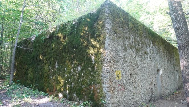 Bunkry na Mazurach wybudowane dla żołnierzy Wehrmachtu. To tu miała być ukryta Bursztynowa Komnata [ZDJĘCIA]