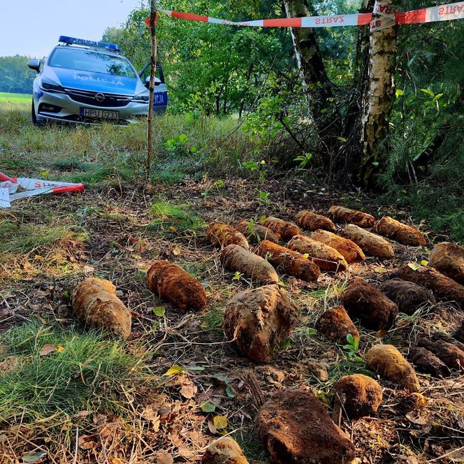 Ponad 100 niewybuchów odkryto w Borowie pod Kaliszem 