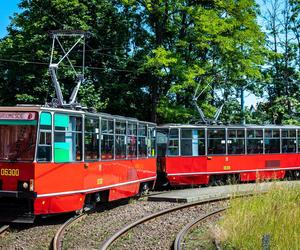 W Gdańsku ruszają sezonowe linie! To prawdziwa gratka dla fanów komunikacji miejskiej