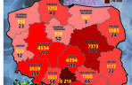 Koronawirus w Polsce. Statystyki, wykresy, grafiki (12 sierpnia)