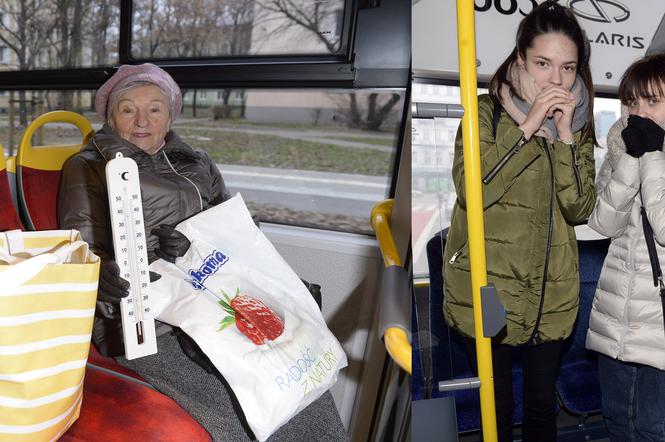 Ziąb w autobusach