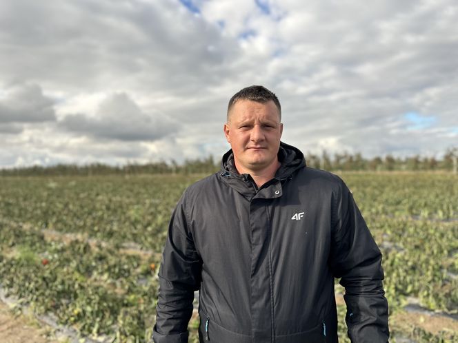 Maciej Siekiera, rolnik z Gałkowic, w szoku po akcji. 60 ton papryki rozdane, gdy zbiór był nieopłacalny.