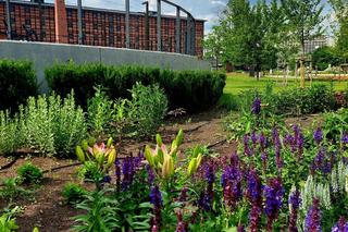 Nie lubisz piłki nożnej? Zebraliśmy miejskie, niepiłkarskie atrakcje na weekend otwarcia Euro 2024