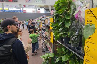 Festiwal Roślin znów zachwycił bydgoszczan! Setki gatunków i wyjątkowa atmosfera