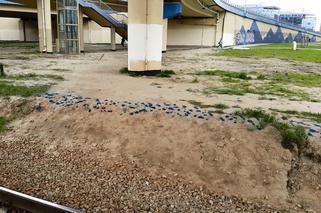 Gęsta smoła na peronie PKP Służewiec