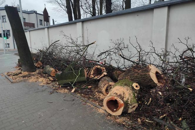 Nowa ścieżka rowerowa na al. 29 Listopada. Skończyło się rzezią drzew